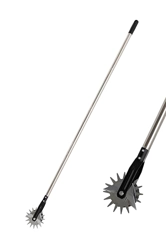 Best Edgers for Clean Cuts