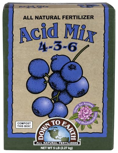 Best Fertilizers for Blueberries