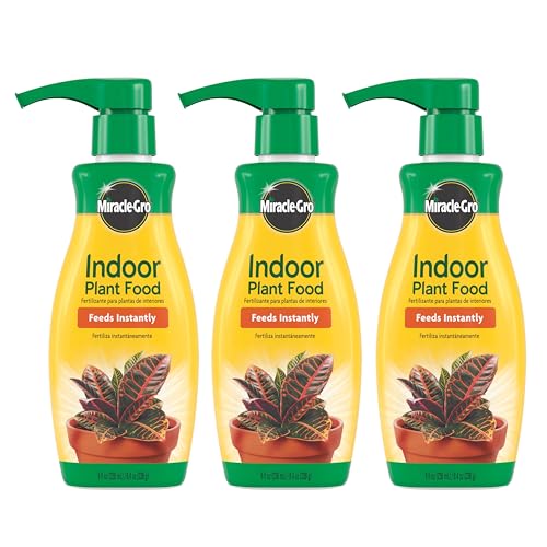 Best Fertilizers for Indoor Plants