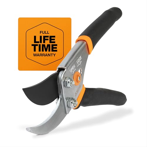 Best Gardening Tools for Pruning