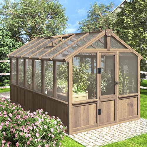 Best Greenhouses for Beginners