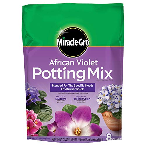 Best Potting Mix for African Violets