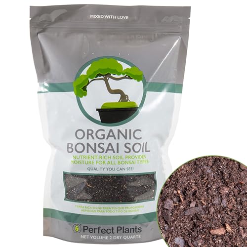 Best Potting Mix for Bonsai