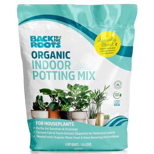 Best Potting Mix for Indoor Plants