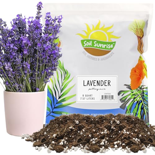 Best Potting Soil for Lavender