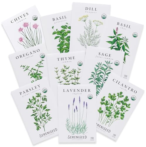 Best Seeds for Hydroponic System