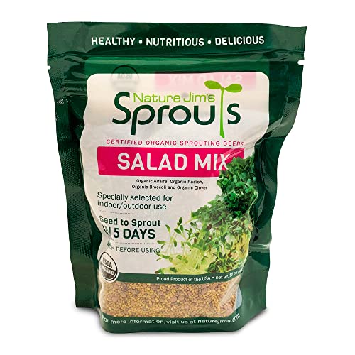 Best Seeds for Sprouting