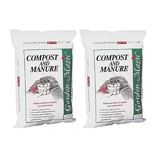 Best Soil Amendments for Raised Beds