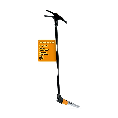 Best Trimmers for Edging