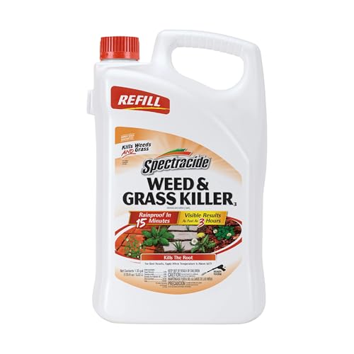 Best Weed Control for Driveways