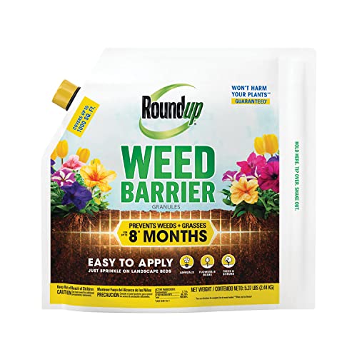 Best Weed Control for Flower Beds