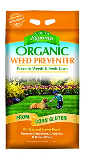 Best Weed Control for Organic Lawns