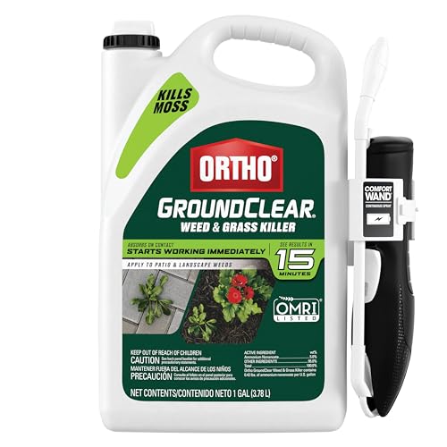 Best Weed Control for Patios
