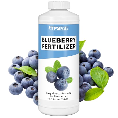 Best Fertilizers for Blueberries in Pots