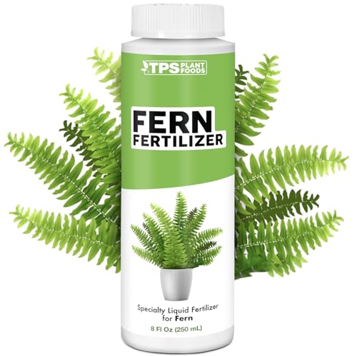 Best Fertilizers for Ferns