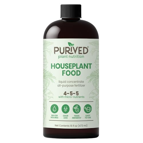 Best Fertilizers for Houseplants