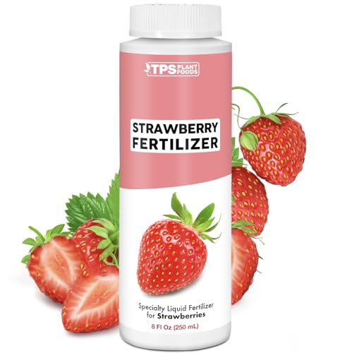 Best Fertilizers for Strawberries