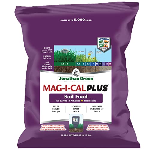 Best Soil Amendments for Alkaline Soil