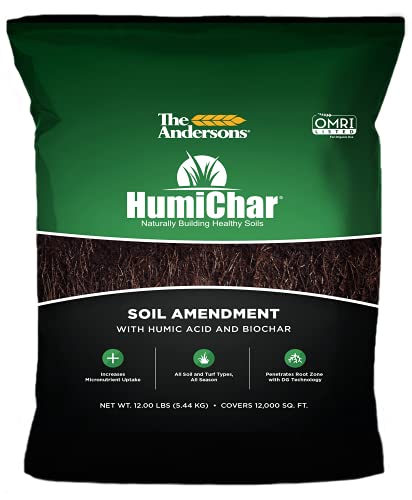 Best Soil Amendments for Compacted Soil