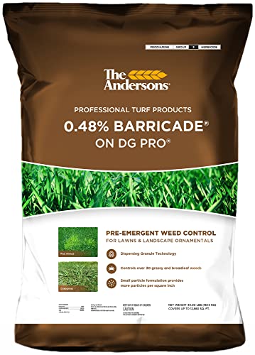 Best Weed Control for Annual Beds
