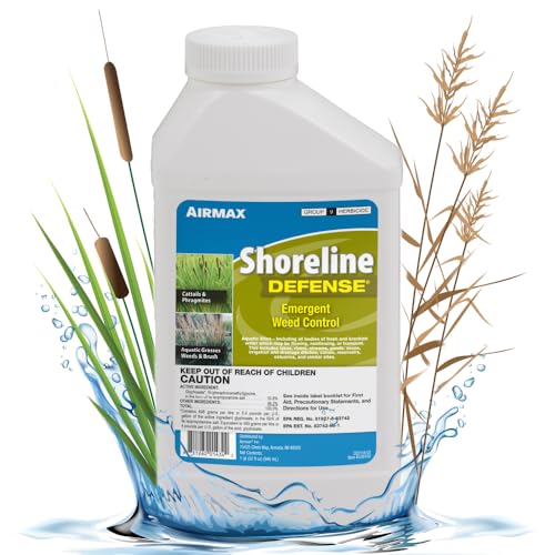 Best Weed Control for Aquatic Plants