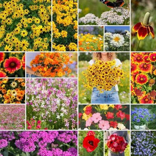 Best Bulbs for Dry Areas