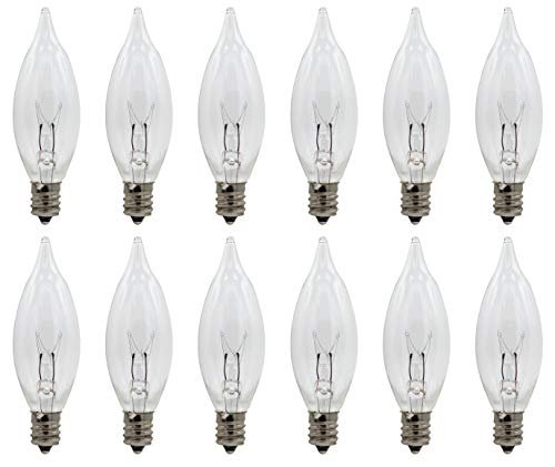 Best Bulbs for Late Summer