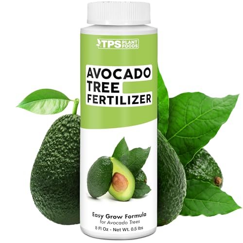 Best Fertilizers for Avocado Trees