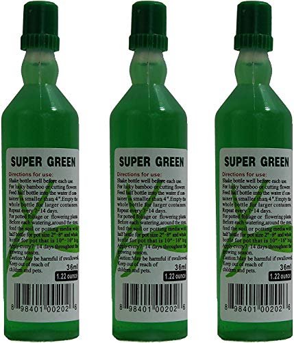 Best Fertilizers for Bamboo Plants