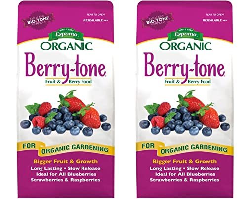 Best Fertilizers for Blueberry Bushes