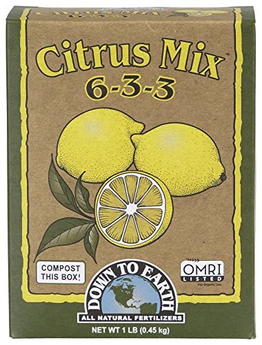 Best Fertilizers for Citrus in Pots