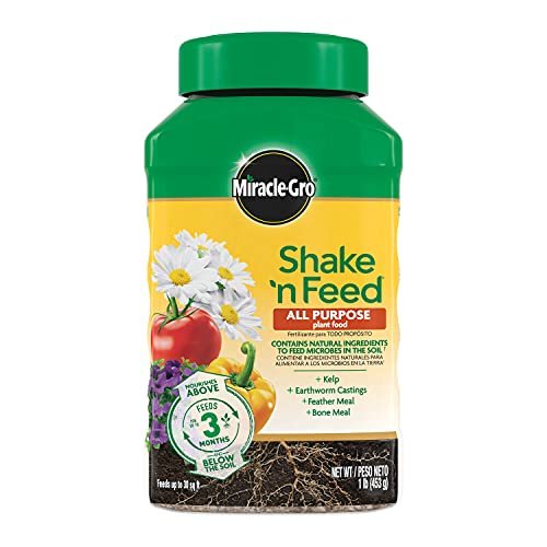 Best Fertilizers for Container Vegetables