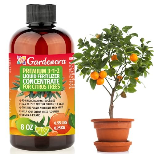 Best Fertilizers for Indoor Fruit Trees