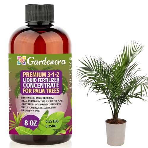 Best Fertilizers for Indoor Palms