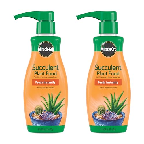 Best Fertilizers for Indoor Succulents