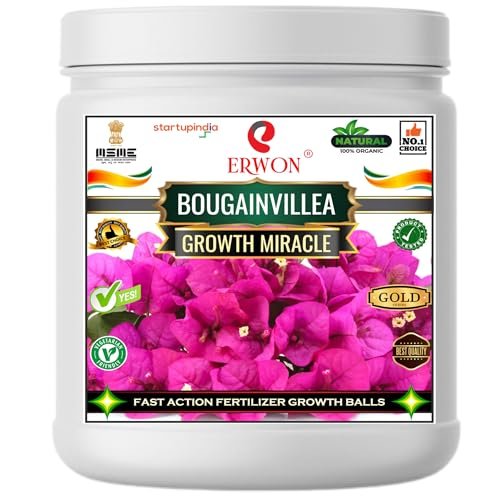 Best Fertilizers for Morning Glories