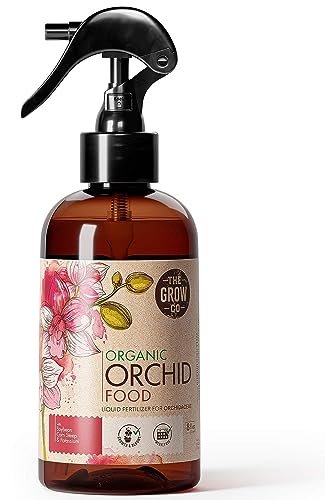 Best Fertilizers for Orchids in Pots