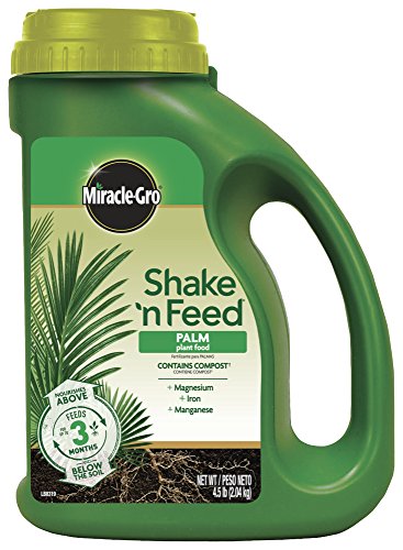 Best Fertilizers for Palms