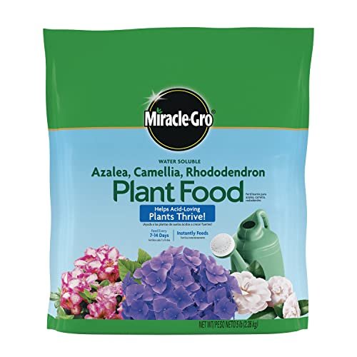 Best Fertilizers for Rhododendrons