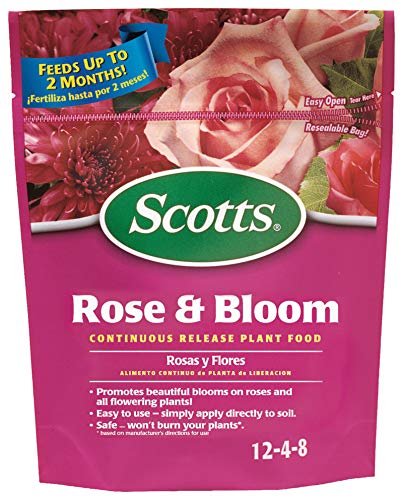 Best Fertilizers for Roses in Pots