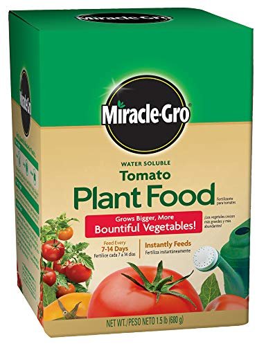 Best Fertilizers for Tomatoes in Pots