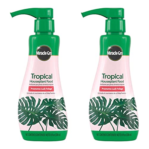 Best Fertilizers for Tropical Plants