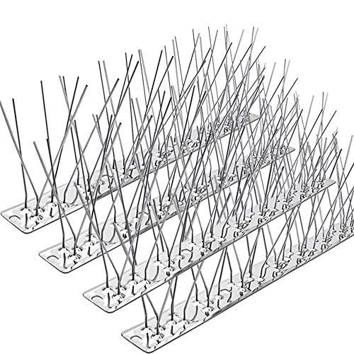 Best for Bird Spikes