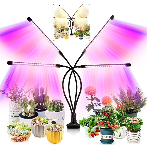Best for Indoor Grow Lights for Vegetables