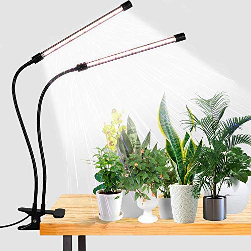 Best for Indoor Plant Grow Lights