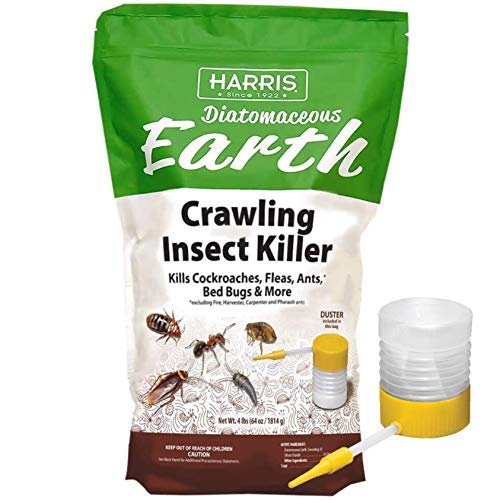 Best for Pest Control Management