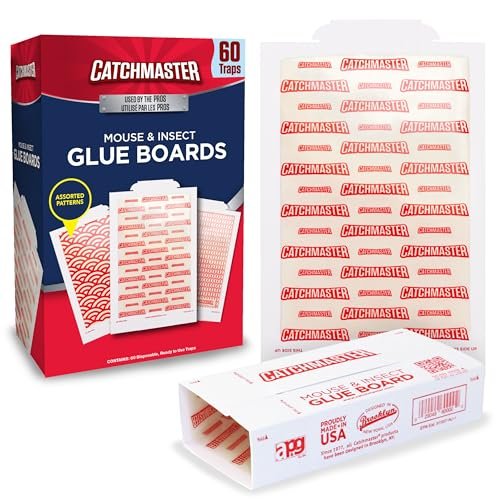 Best for Pest Control Products for Basements