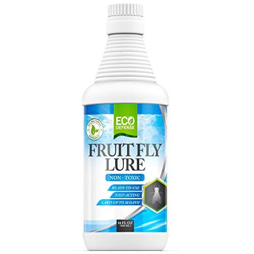 Best for Pest Control Products for Restaurants