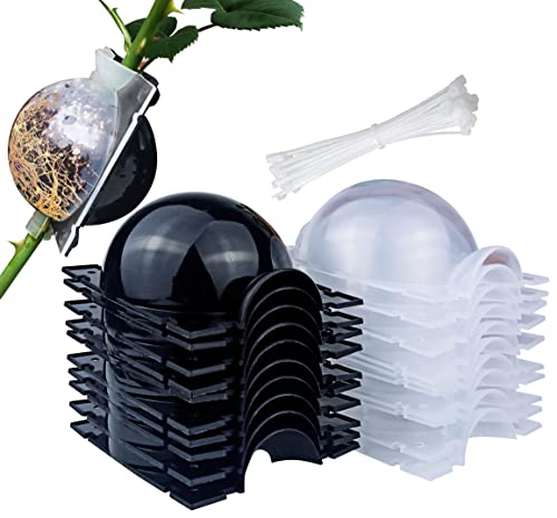 Best for Plant Propagation Kits