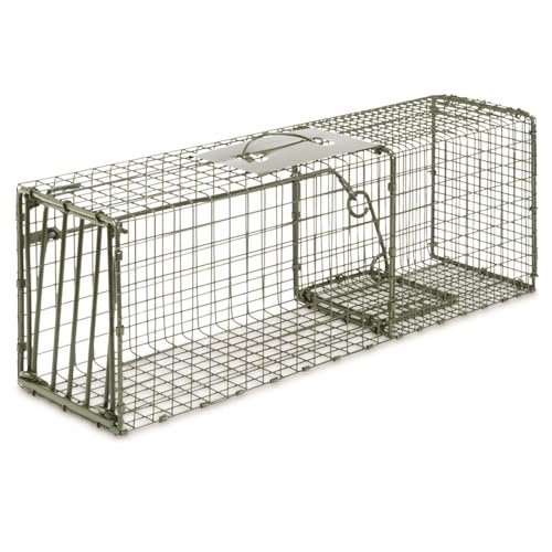 Best for Raccoon Traps